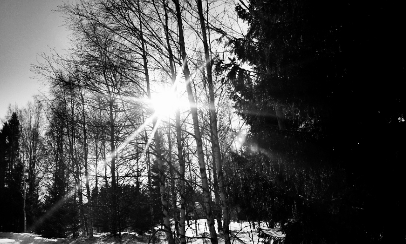 Shining