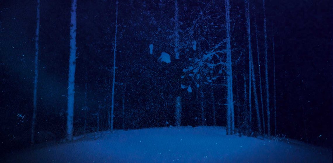 Snowy forest at night in deep blue light